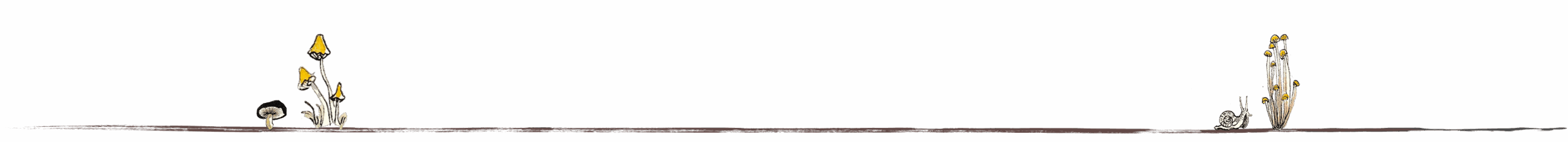 Illustration réalisée par Florence Chaudiez, illustratrice freelance en Belgique